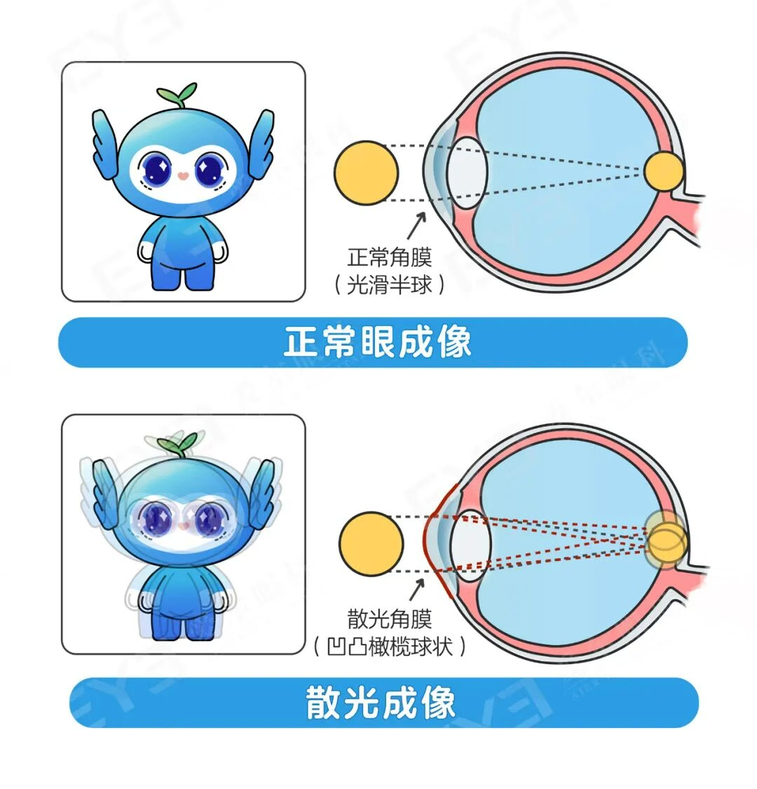 图片.png 图片.png